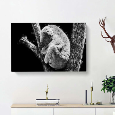 Koala Bear Resting in a Tree - Wrapped Canvas Art - Wrapped Canvas