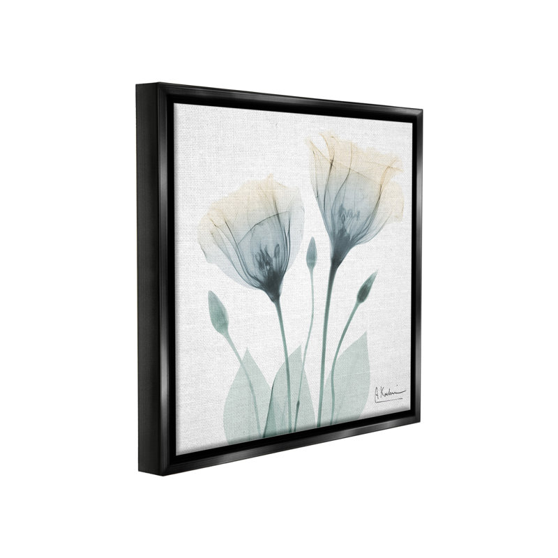 "Opaque Tulip Duo Floater Frame" par Albert Koetsier sur, Cadre flottant noir de jais, H 25 po x l 25 po