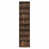 Amber Pine