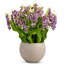 Cora RealTouch Muguet Arrangement-1025018374