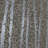 Xai Abstract Roll