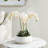 Light Pink Orchid 16" Mini Garden Drop-In