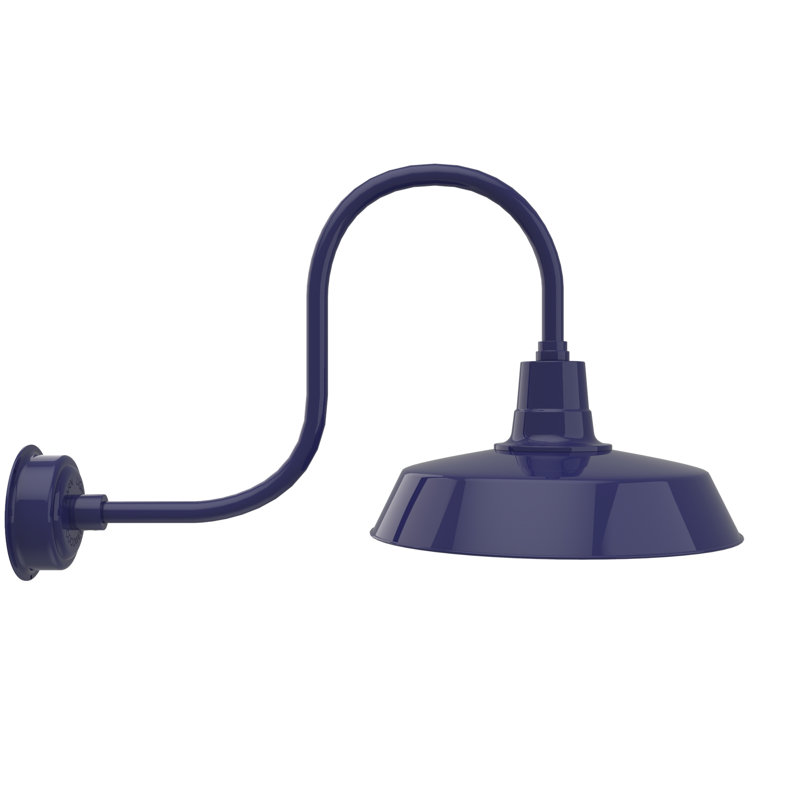 Luminaire de grange d'extérieur à DEL Haleigh, H 9 po x l 8 po x P 17 po, Bleu de cobalt