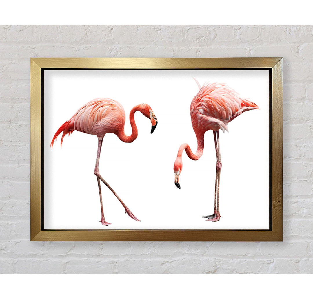 Rosa Flamingo Duo - Einzelne Bilderrahmen Kunstdrucke