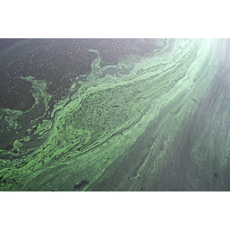 Water Pollution - Wrapped Canvas Print, 30cm H x 46cm W x 3.8cm D