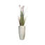 62'' Faux Reed Plant in Fiberstone Planter