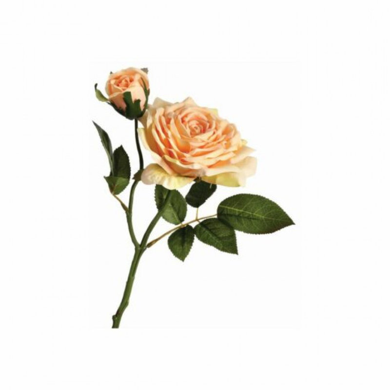 Rose ouverte avec des fleurs artificielles, Abricot