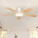 Karlena 52'' Ceiling Fan With Led Lights And Remote Control