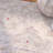 Chauncey Performance Oriental Rug-1759548822