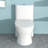 12 - Inch Rough In, One Piece Toilet Of Ceramic, 1.22/1.6 , Dual Flush, Soft Closing Seat, 800g Map, Quiet Operation, Effortless Hygiene, Skirted Design, Quick Release Ceramic For Bathroom Use,