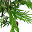 Faux Bamboo Tree in Pot Liner-88443228