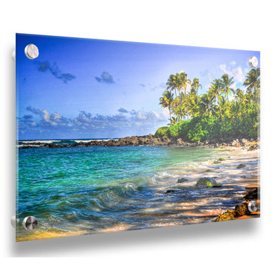 «Turtle Beach» par Kelly Wade, reproduction de photo sur bois