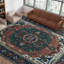 Aryana Wool Oriental Area Rug