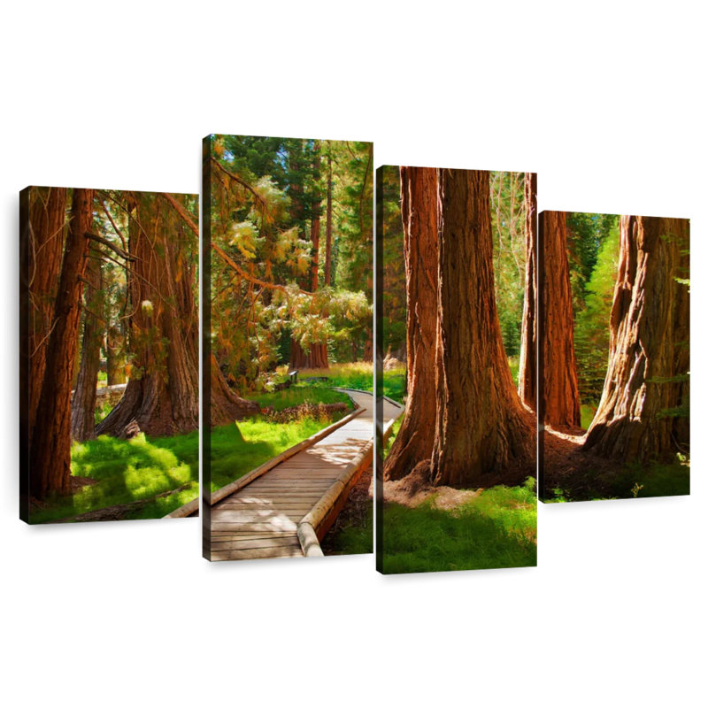 Alvord Reddish Sequoia Forest, 48" H x 75" W