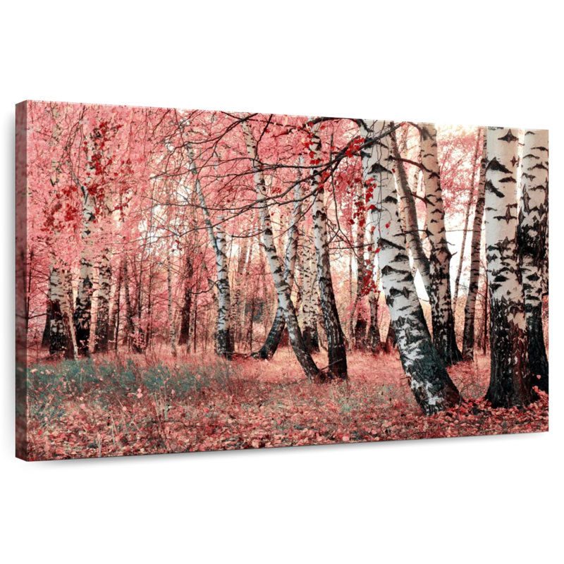 Forêt de bouleaux roses Alvord, H 20 po x l 30 po