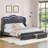 Mouad Velvet Upholstered Bed with Storage and LED Lights-214976839-214976838
