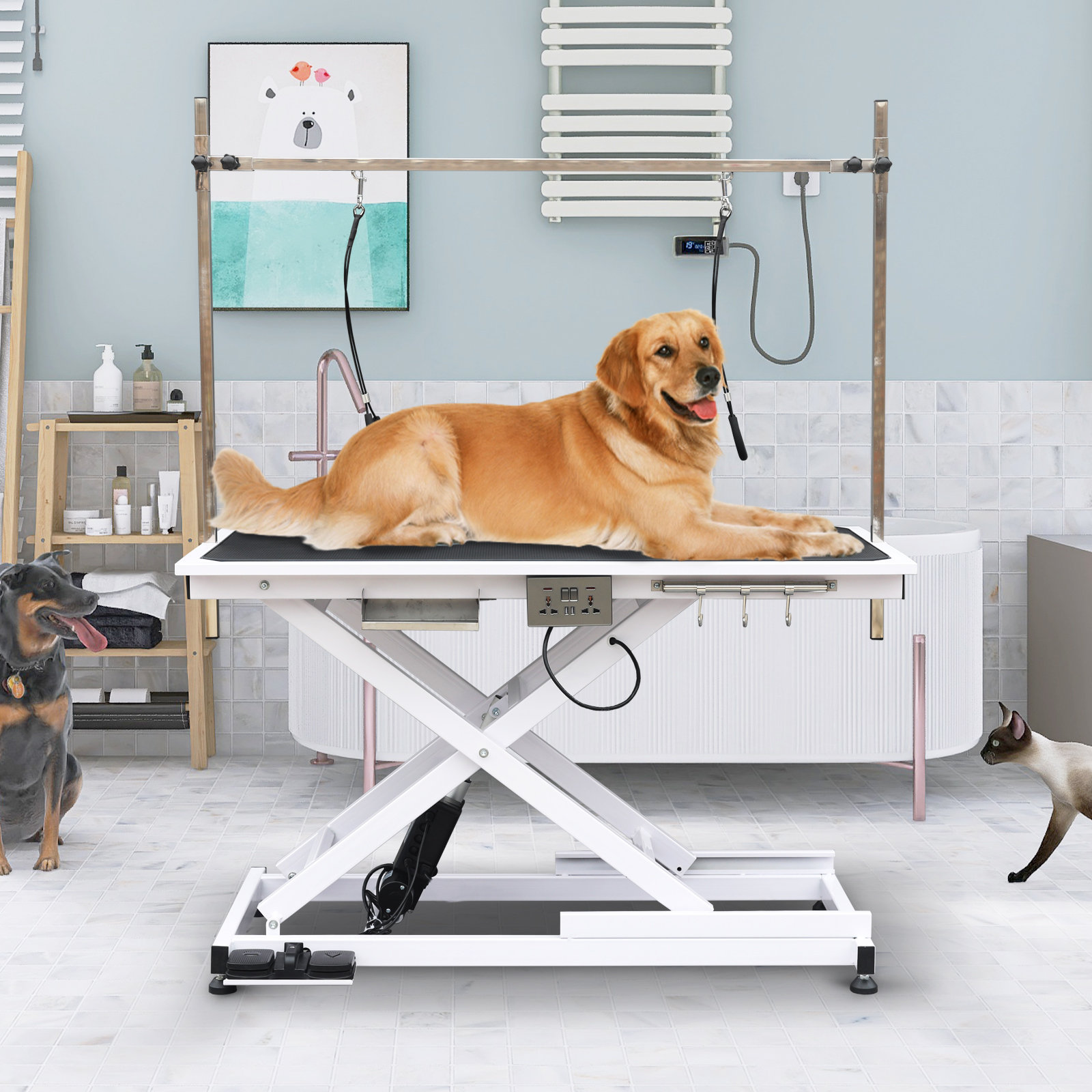 Hydraulic dog outlet lift