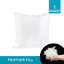 Rembourrure pour coussin décoratif-104949619