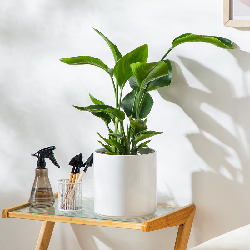ZTHPOT Ceramic Pot Planter, 21cm H x 21cm W x 21cm D