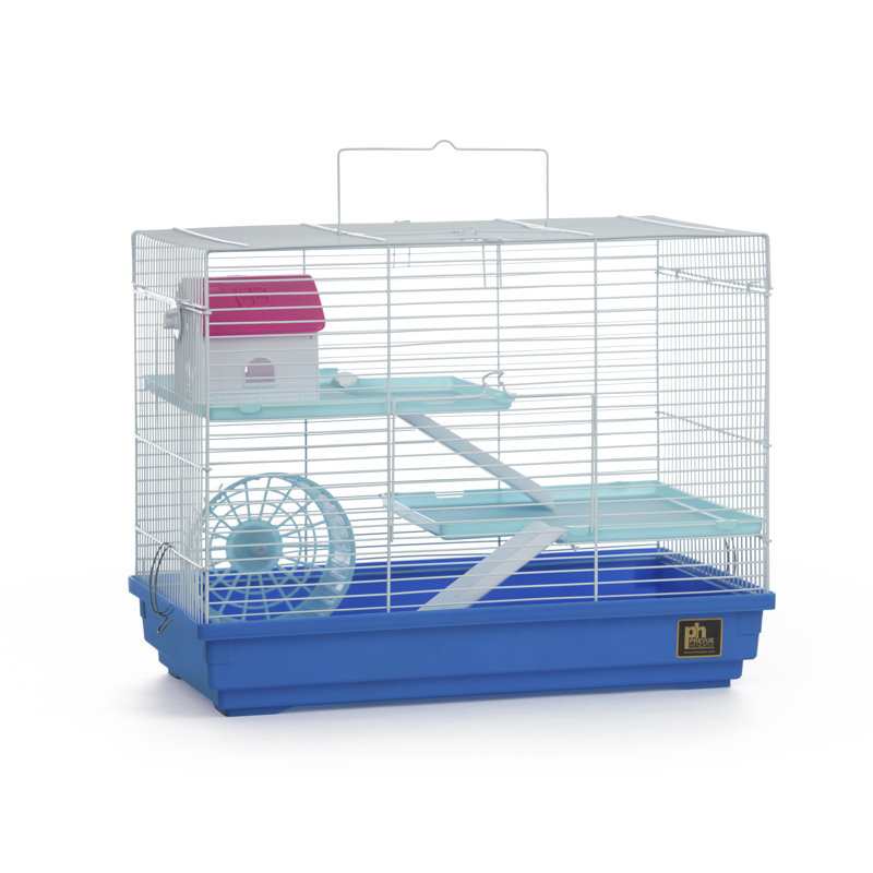 Cage avec rampe Claybourne, Bleu