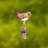 Willetton Birds Garden Stake