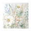Bolog Sasha Soft Touches Two Canvas Art-104105701