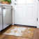 Premium Machine Washable Diskin AMF1027 Modern Rug