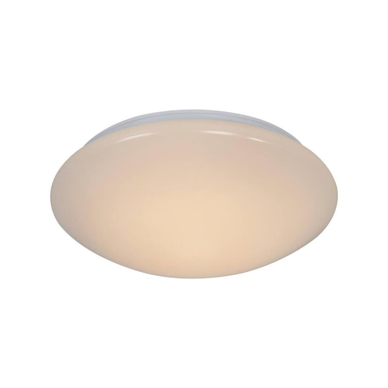 Bruchy LED Flush Mount