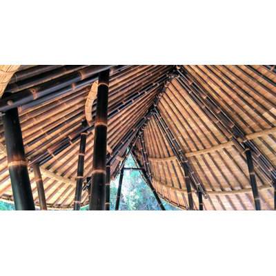 Giant Black Timber Bamboo Poles