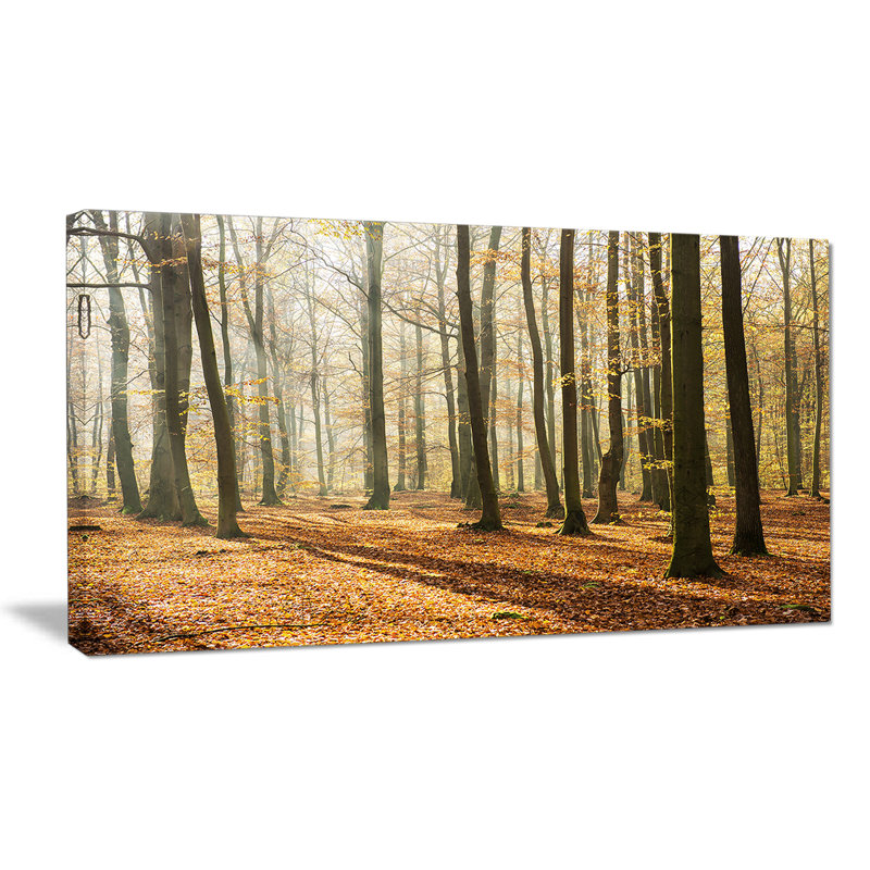 «Bright Autumn Day in Thick Forest», reproduction de photo sur toile tendue, H 28 po x l 60 po