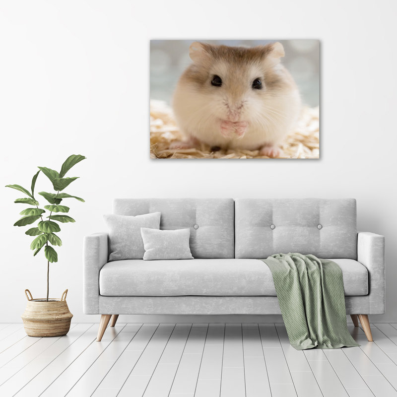 Hamster - No Frame Print on Canvas