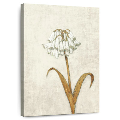 Harnek Shimmering Summer II Ivory