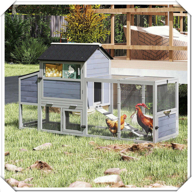 Cage à poules portative mobile