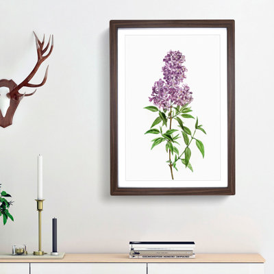 Persian Lilac Flowers by Pierre-Joseph Redoute - Picture Frame Painting Print