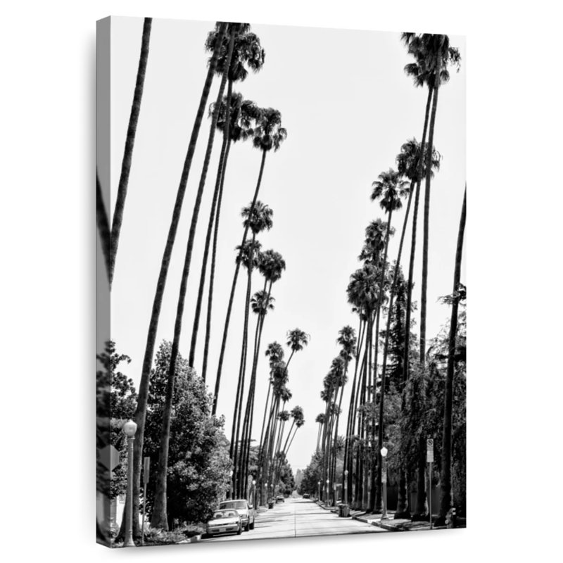 Route de palmiers de Californie noire Sirci, H 24 po x l 16 po
