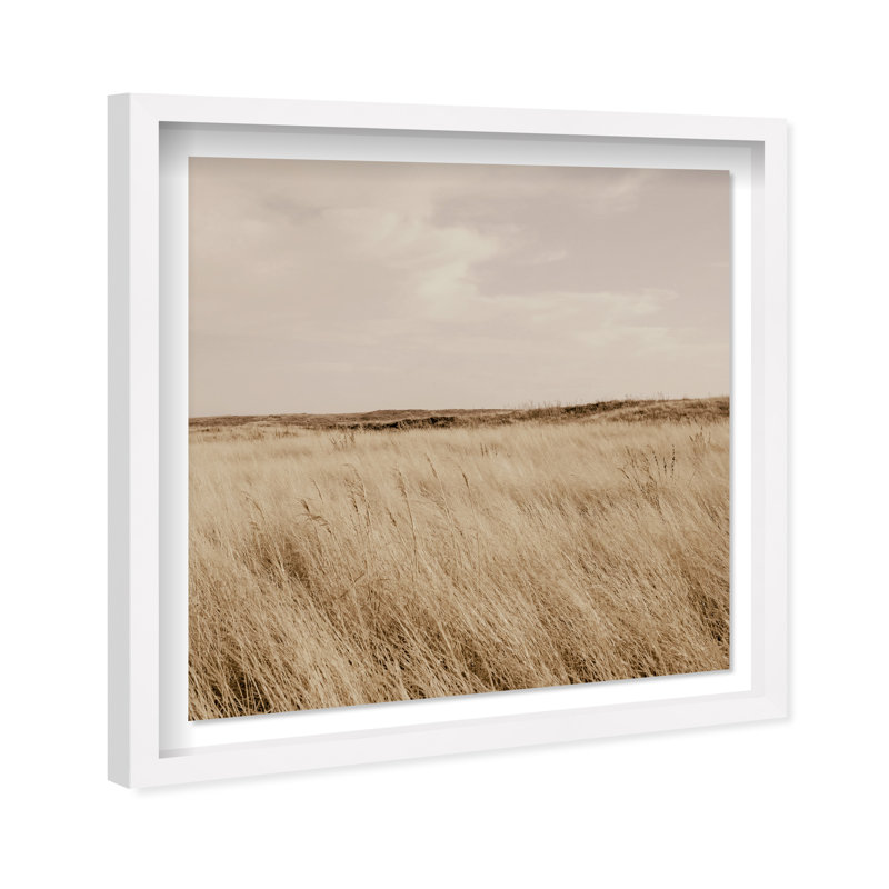 Golden Nature Print by Oliver Gal, 25.5" H x 25.5" W, White Shadowbox