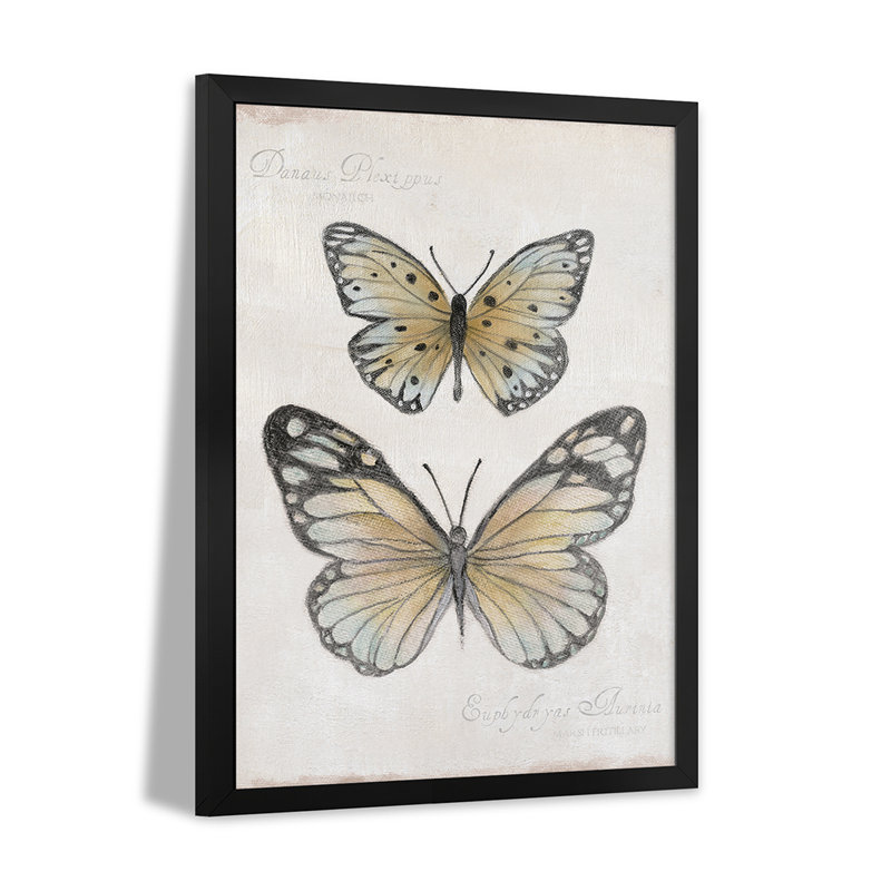 Papillons rétro I - reproduction d'art murale - affiche de galerie, H 24 po x l 16 po