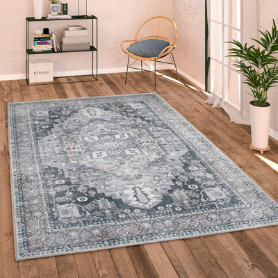 Slaboden 100% Polypropylene Gray Rug