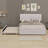 Upholstered Platform Bed With Trundle-1275679585