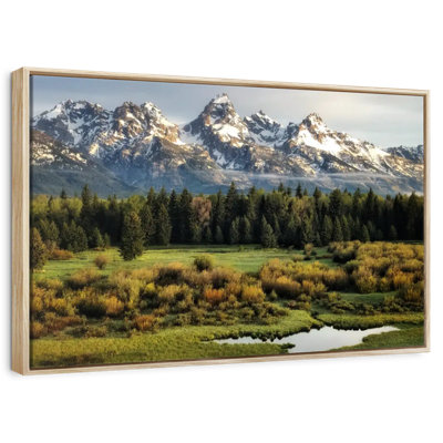 Grand Teton Beauty