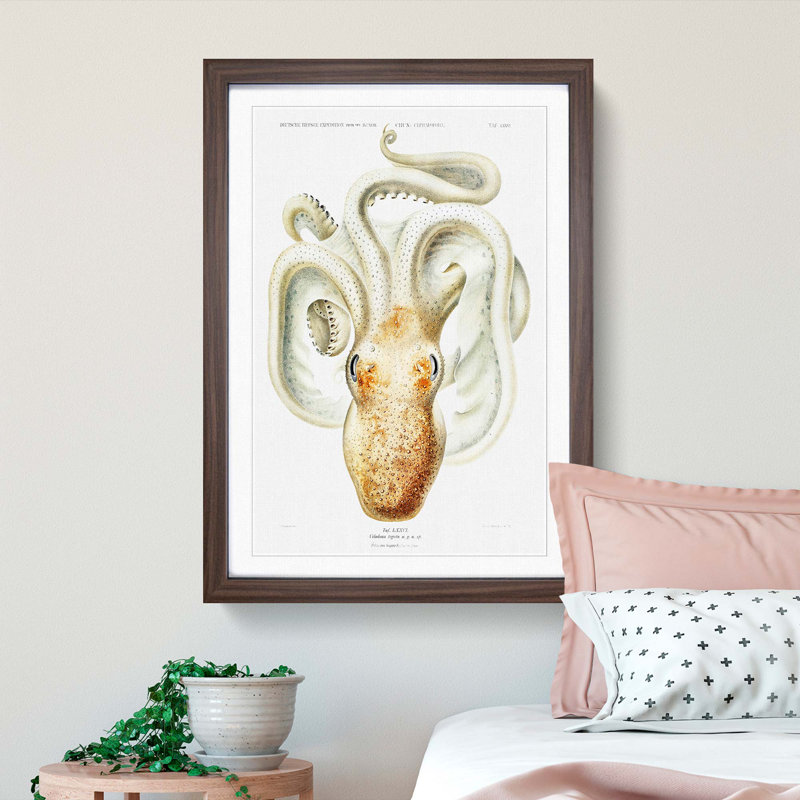 A Velodona Octopus by Carl Chun - Framed Print, 33cm H x 24cm W x 2cm D, Walnut Framed