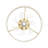 Jacia 20'' Ceiling Fan with LED Lights