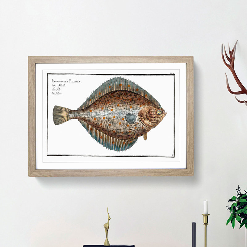 Plaice Fish by M.E. Bloch - Picture Frame Painting Print, 48cm H x 65cm W x 2cm D, Oak Framed