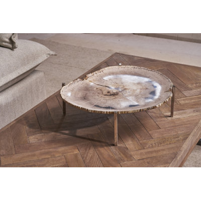 Petrified Wood Platter
