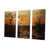 Wrapped Canvas