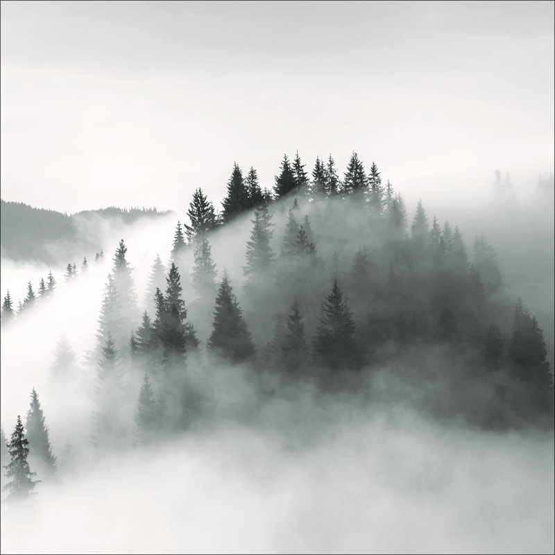 No Frame Print on Glass, 80 cm H x 80 cm W x 1.5 cm D