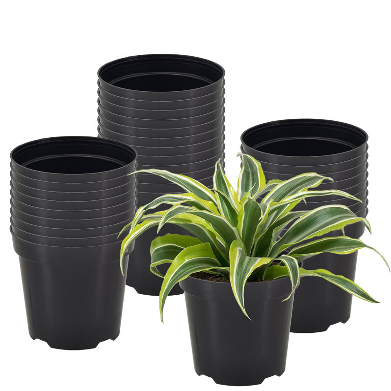 Ensemble de casseroles en plastique Kounain, 100, H 3,5 po x l 4 po x P 4 po