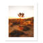 «Desert Dawn» par Joshua Earle - reproduction imprimée-93623245-93623246-93623225