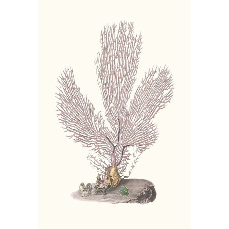 Terra Cotta Coral IV - Wrapped Canvas Art Prints, 46cm H x 30cm W