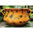Pot Planter-848572718